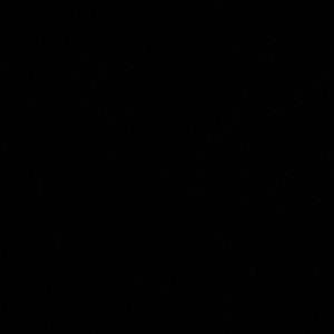 Meet your Posher, Cody